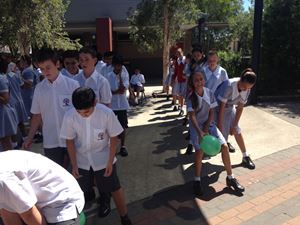 IMG 3658