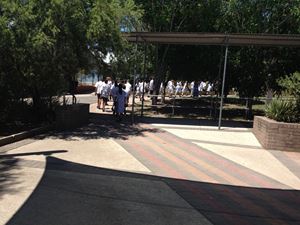 Walking the Rainbow Serpent