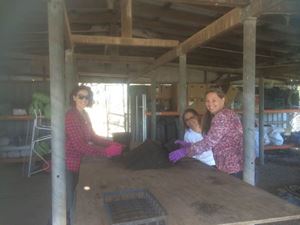Hawksbury Community Nursery Cleaning Gardening 5