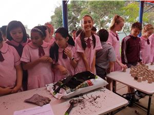 YEAR 6D