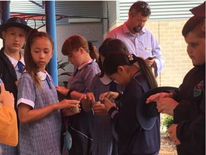 YEAR 6E