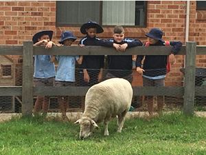 YEAR 6F