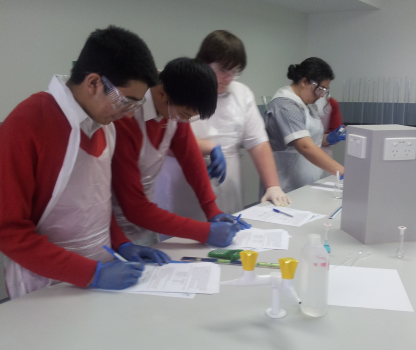 year 11 @ UWS Science 