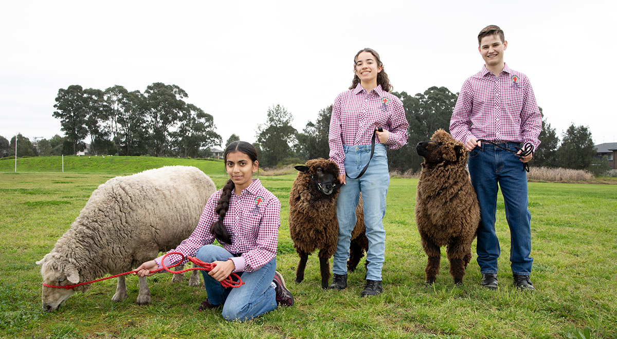 Student Learning Advisor