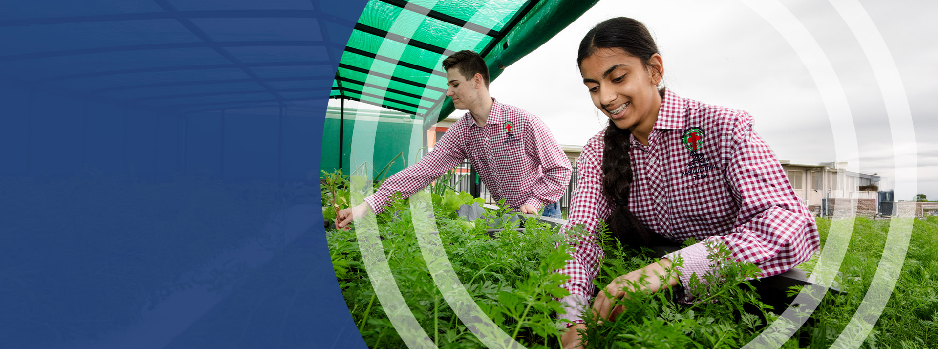 Students tending to the school garden at St John Paul II Catholic College Schofields