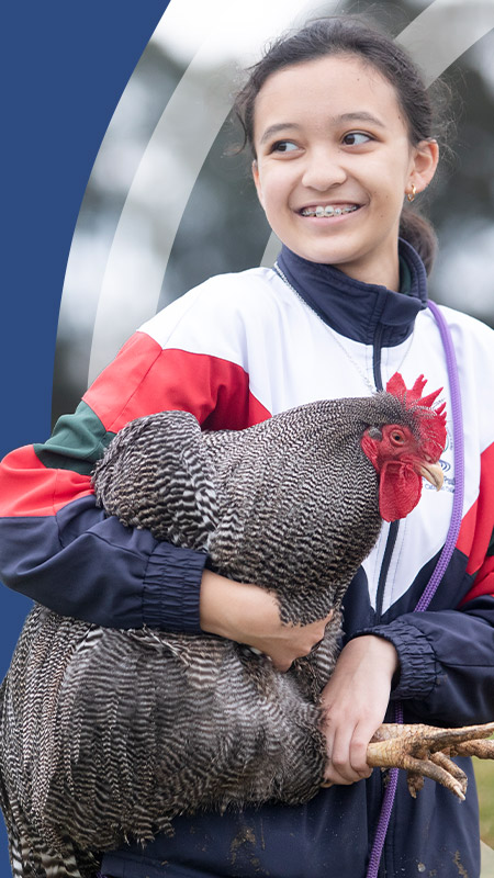Student holding a chicken in the school farm at St John Paul II Catholic College Schofields