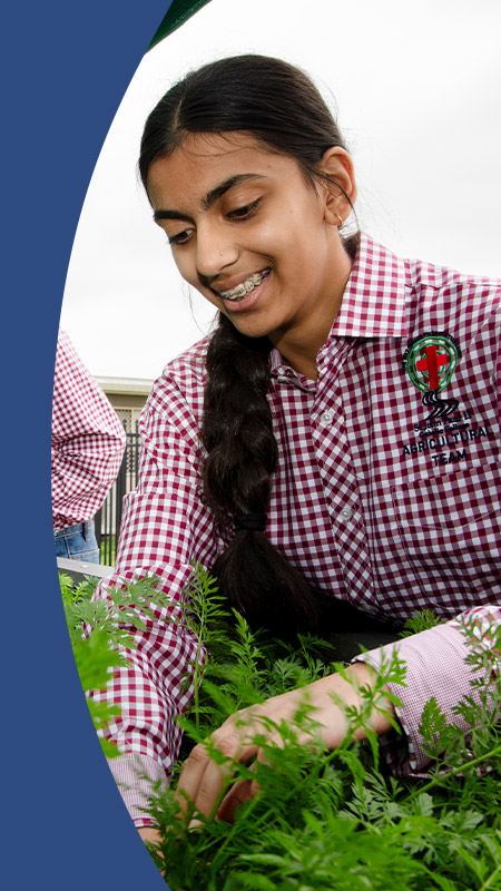 Students tending to the school garden at St John Paul II Catholic College Schofields